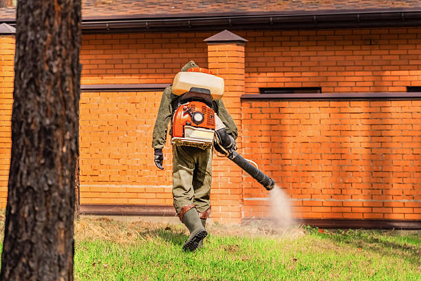 Bed Bug Clearance Verification and Documentation in Obetz
